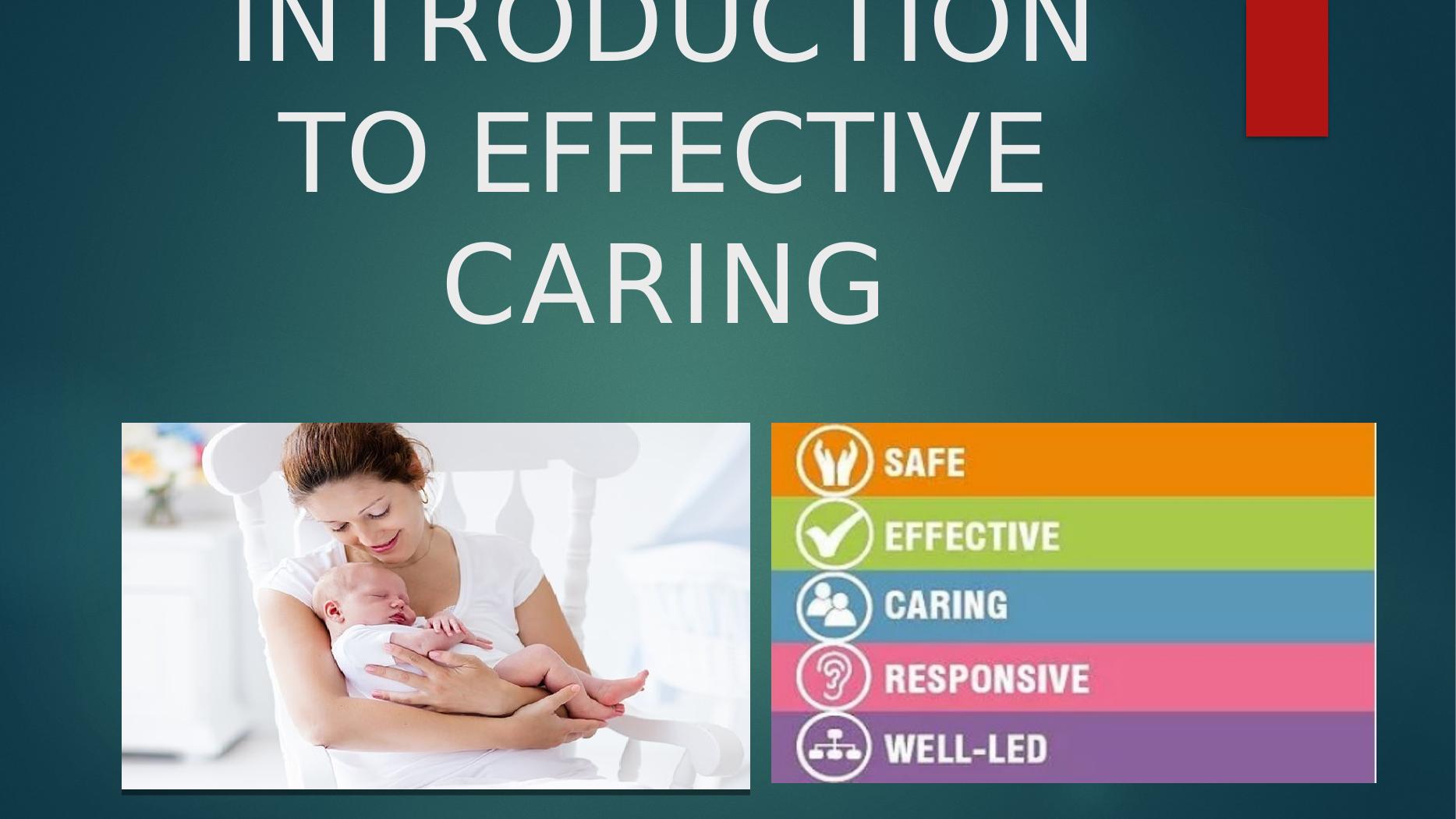 introduction to effective caring assignment