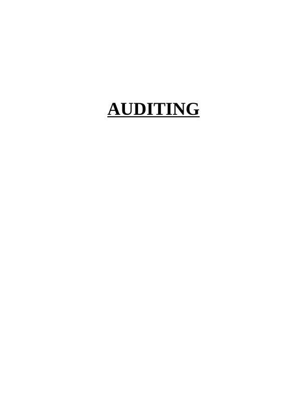 Assignment on Audit Planning (pdf)_1