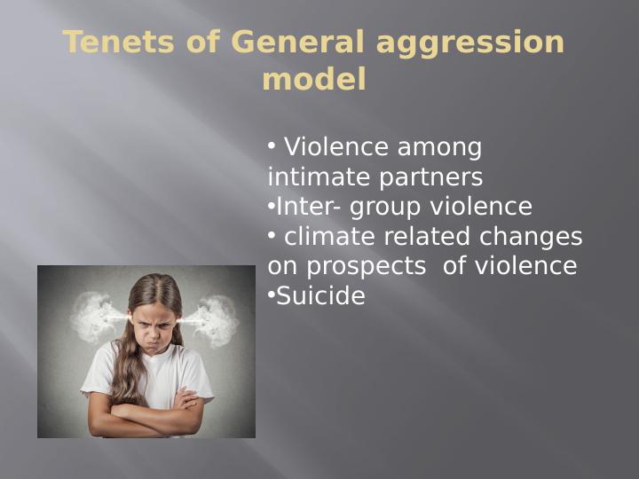 General Aggression Model_3