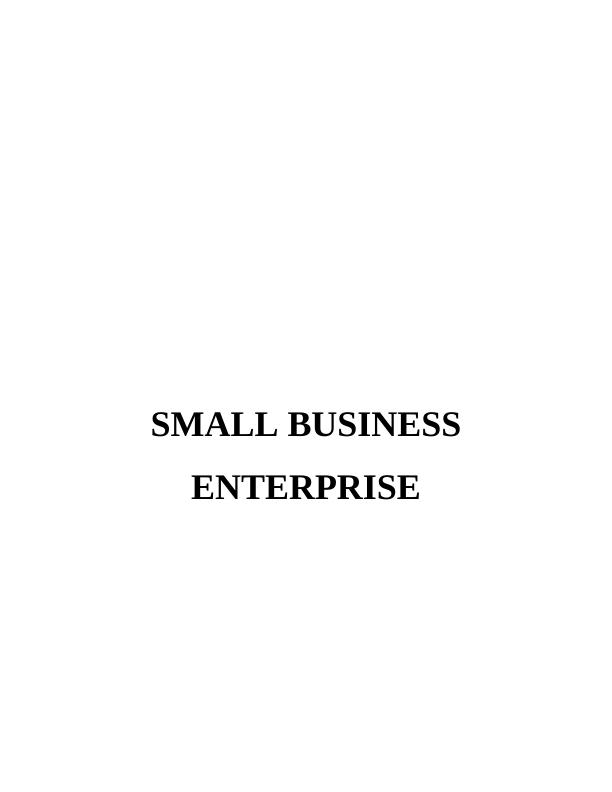 Small Business Enterprise Report_1
