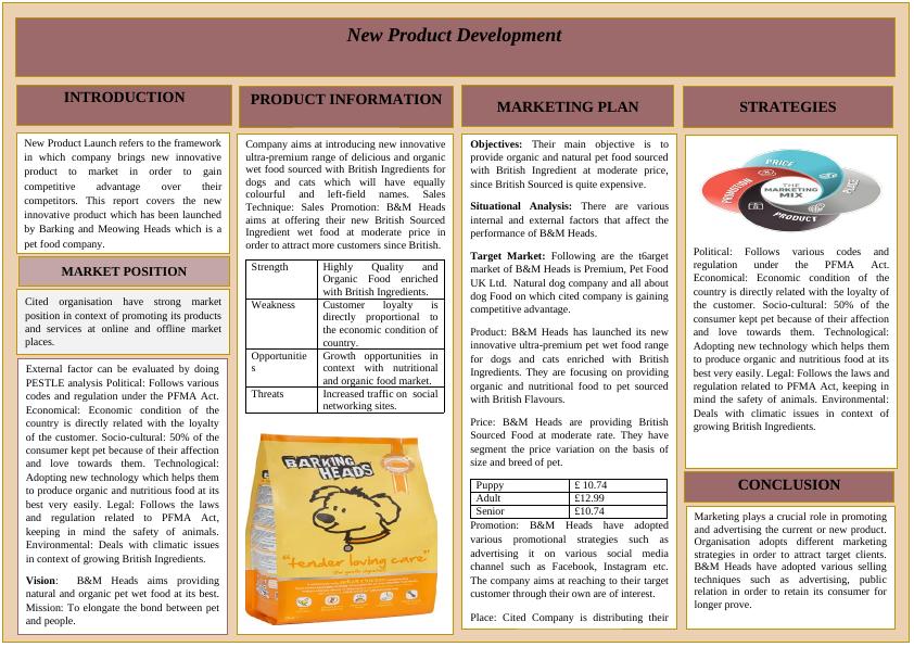 Innovative Product in Pet Food Company - Report_1