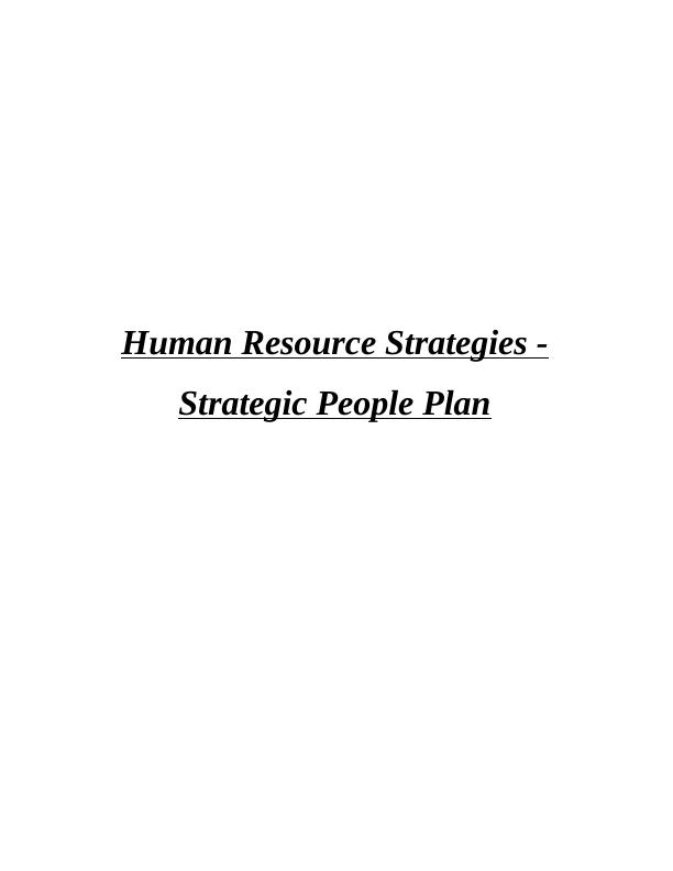 Human Resource Strategies PDF_1
