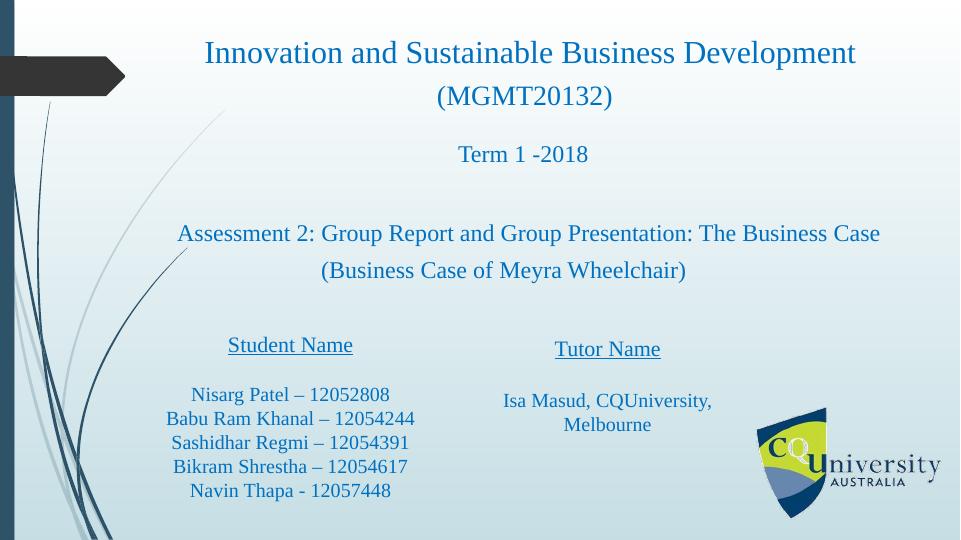 Innovation and Sustainable Business Development (MGMT20132)_1