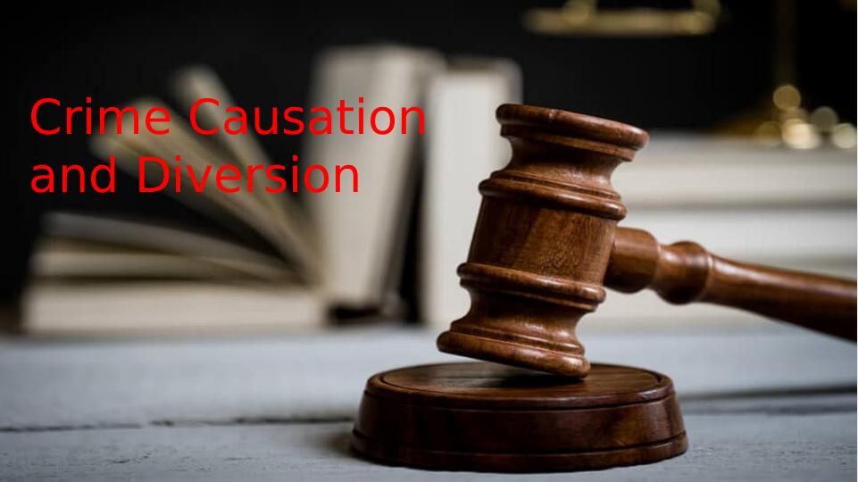Crime Causation and Diversion_1