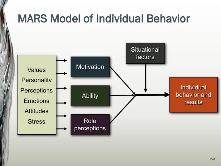 Individual Behavior, Personality, and Values_3