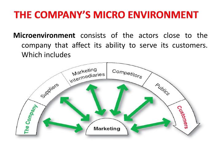 Analyzing the Marketing Environment | Micro and Macro_4