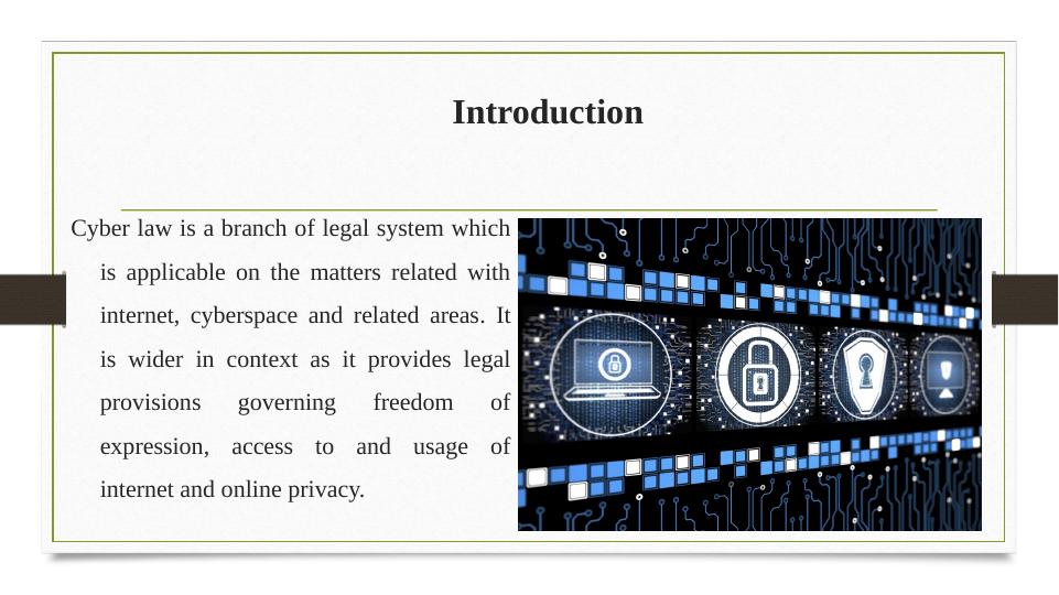 Cyber Law: Overview, In-house Built System, Obligations of University A_3