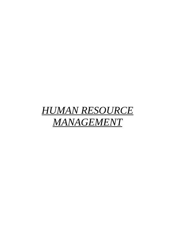 Human Resource Management Assignment Sample Pdf