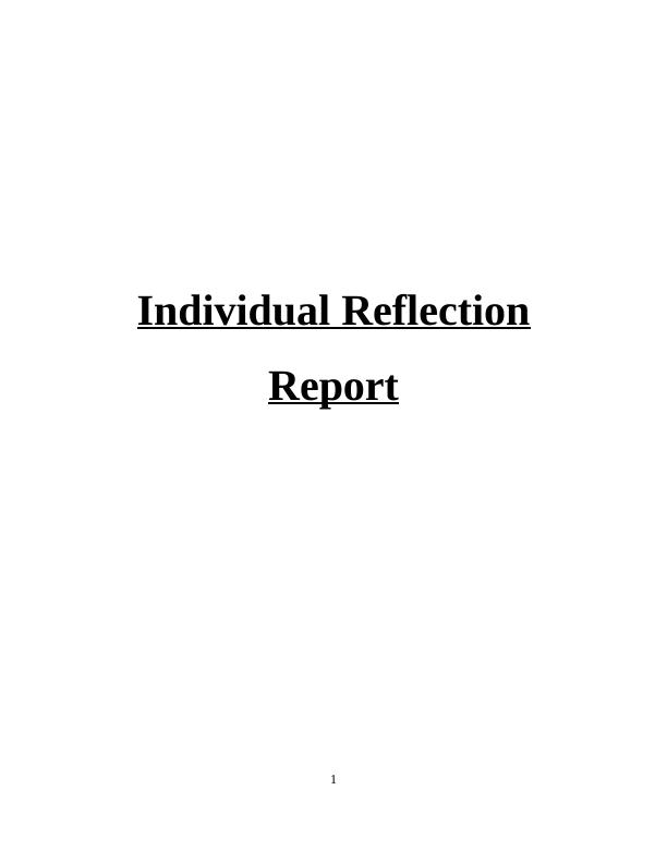 Individual Reflection Report on Project Experience_1