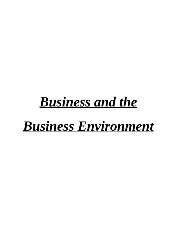 Business and the Business Environment Assignment - Ryanair airways_1