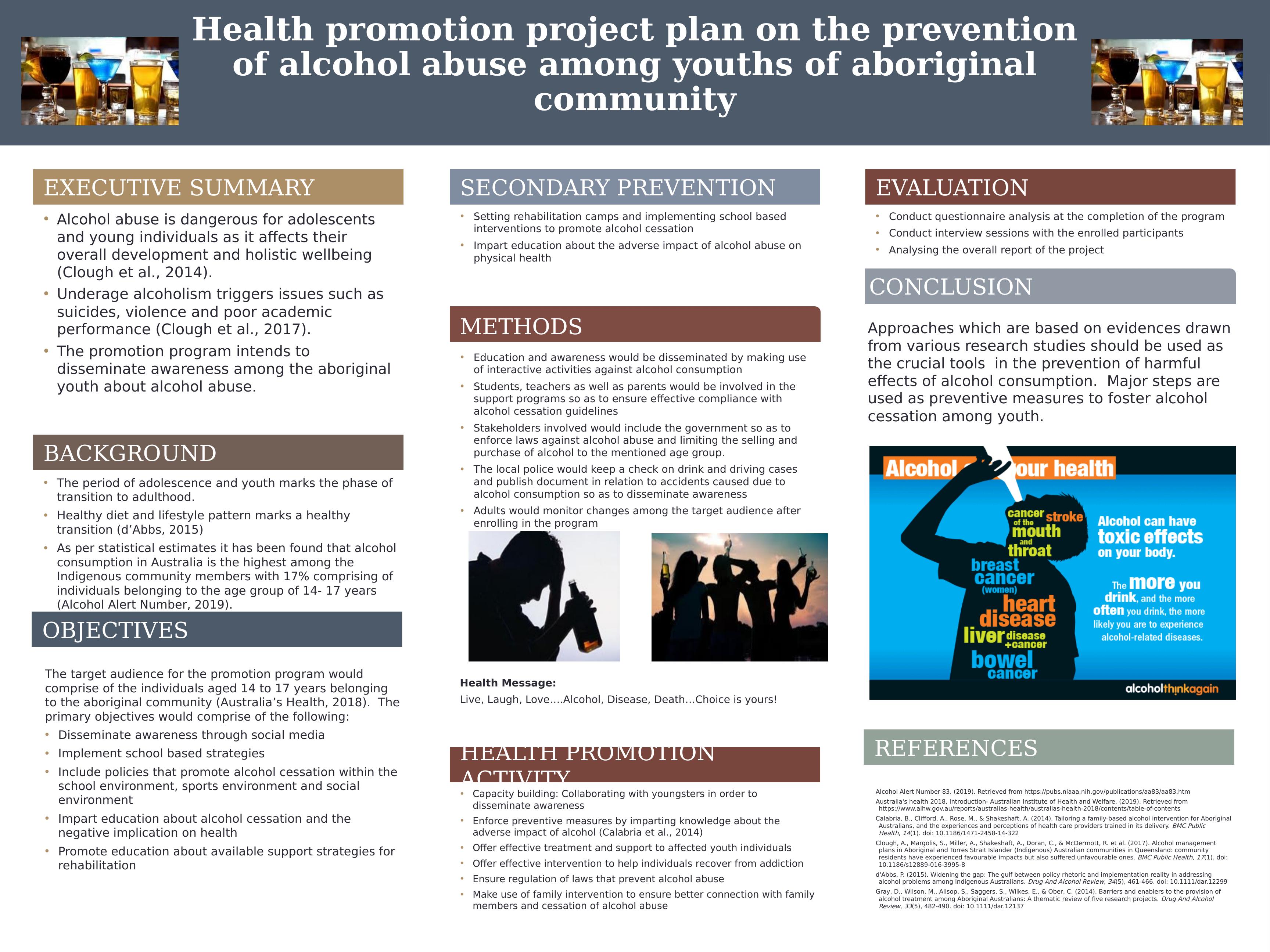Health Promotion Project Plan on Prevention of Alcohol Abuse Among Aboriginal Youths_1