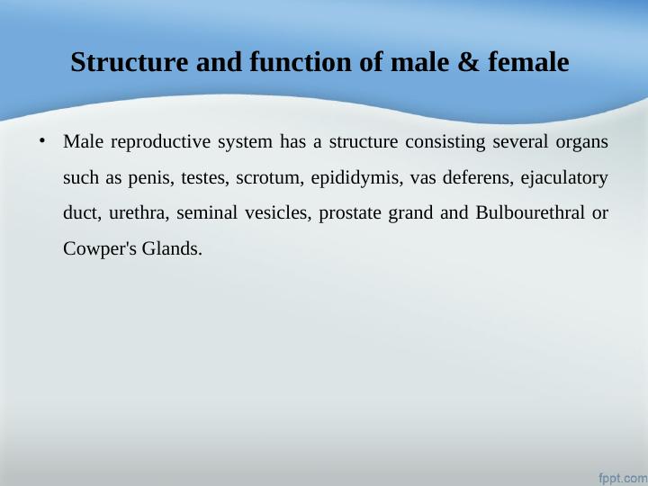 Reproduction: Structure, Function, and Hormones_3
