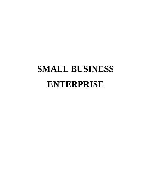 Report on Small Business Enterprise : Qbic Hotel_1