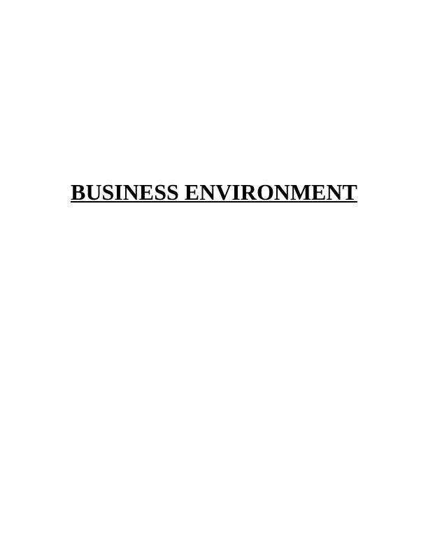 Project Report on Primark Business Environment_1