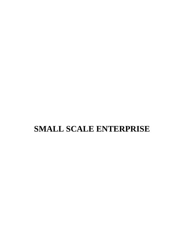 Small Scale Enterprise Report_1