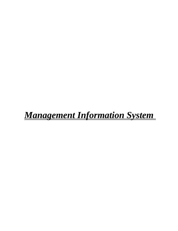 Management Information System - Assignment Solved_1