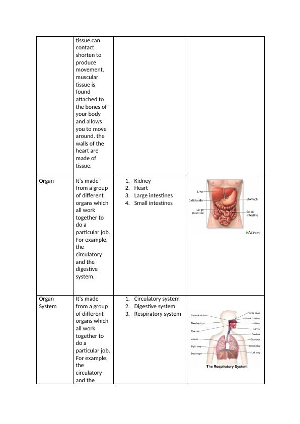 Zabibu Gahimbare Unit 9: Anatomy and Physiology for Health and Ill-Health_4