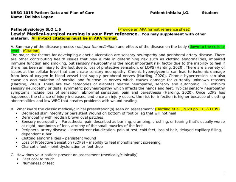 Diabetic Ulceration Patient Care Plan