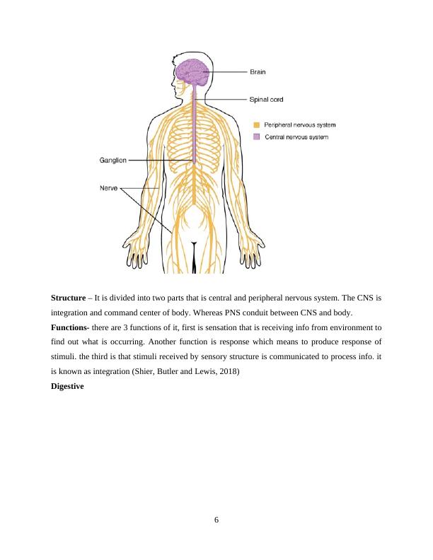 Understanding Human Anatomy and Physiology: Functions, Features, and Organ Systems_6