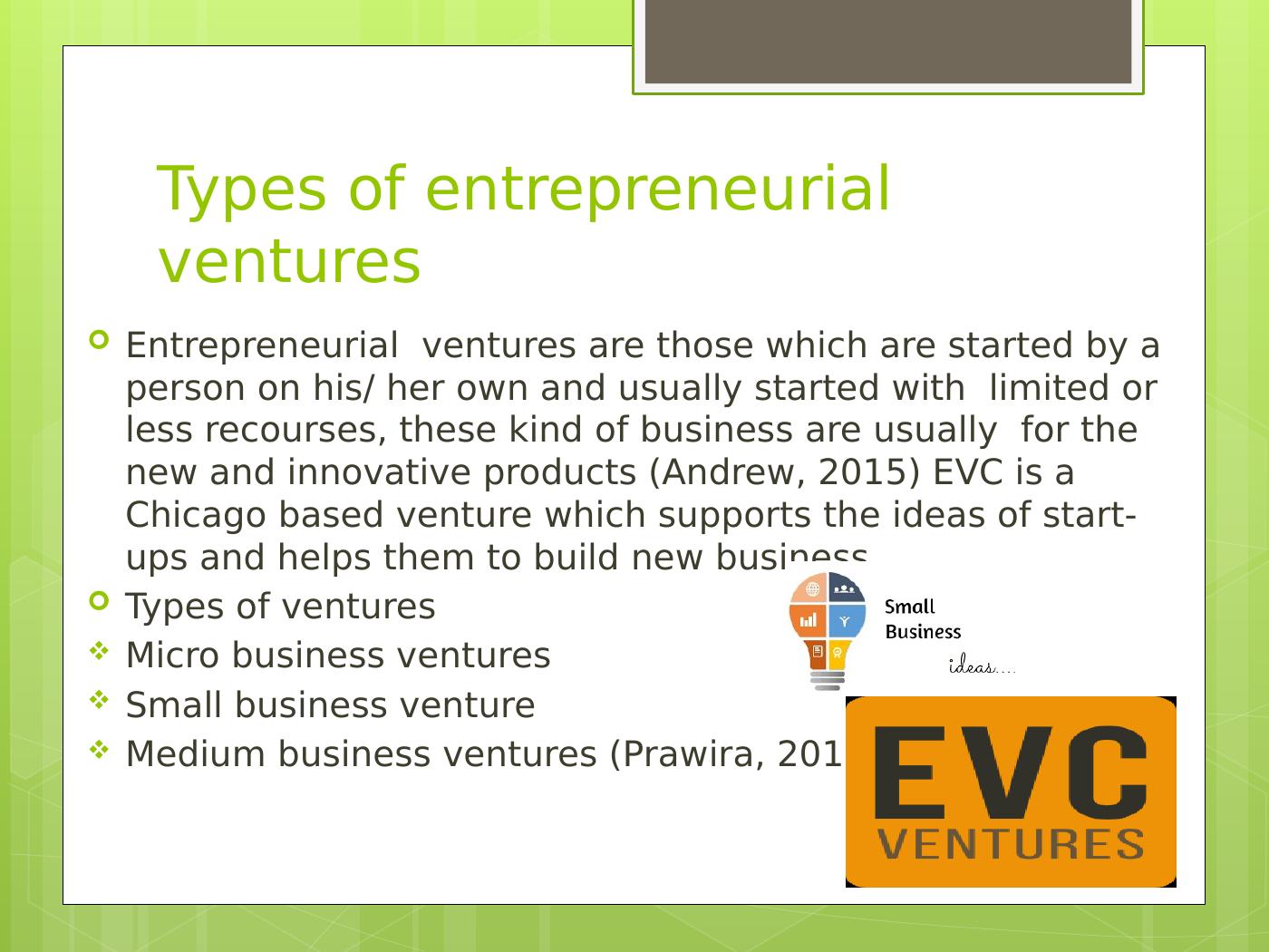 Entrepreneurship Ventures Types, Typology, and Examples