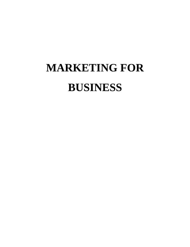 Report on Marketing Techniques and Constraints_1