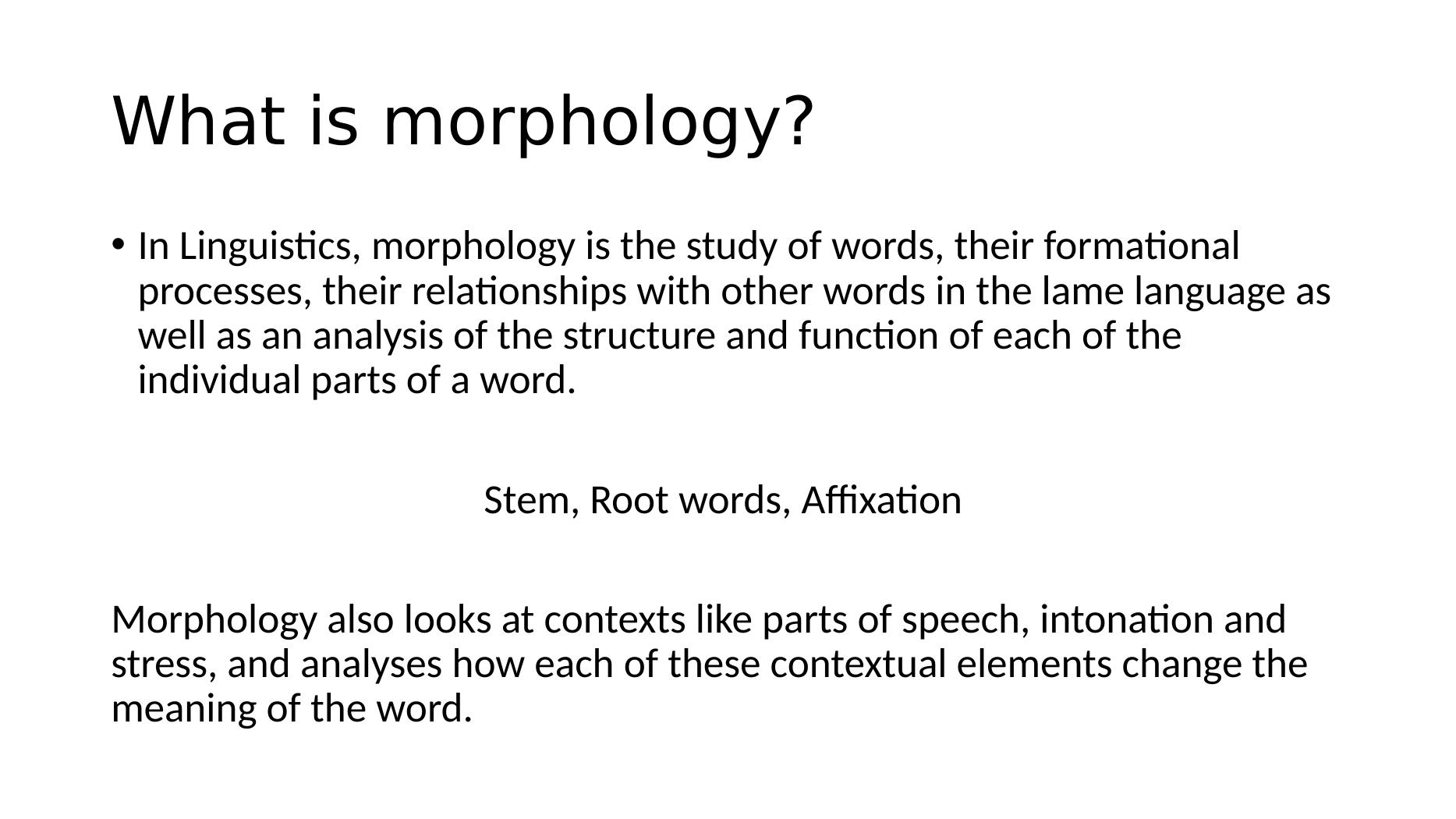 what-is-english-morphology