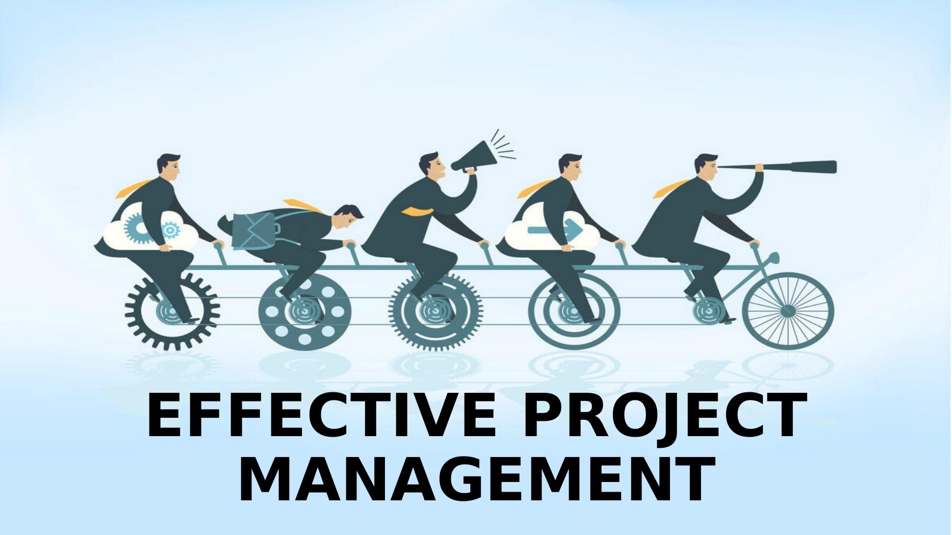 Effective Project Management