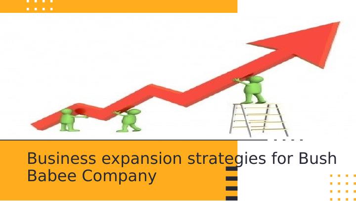 Business Expansion Strategies for Bush Babee Company | PPT_1