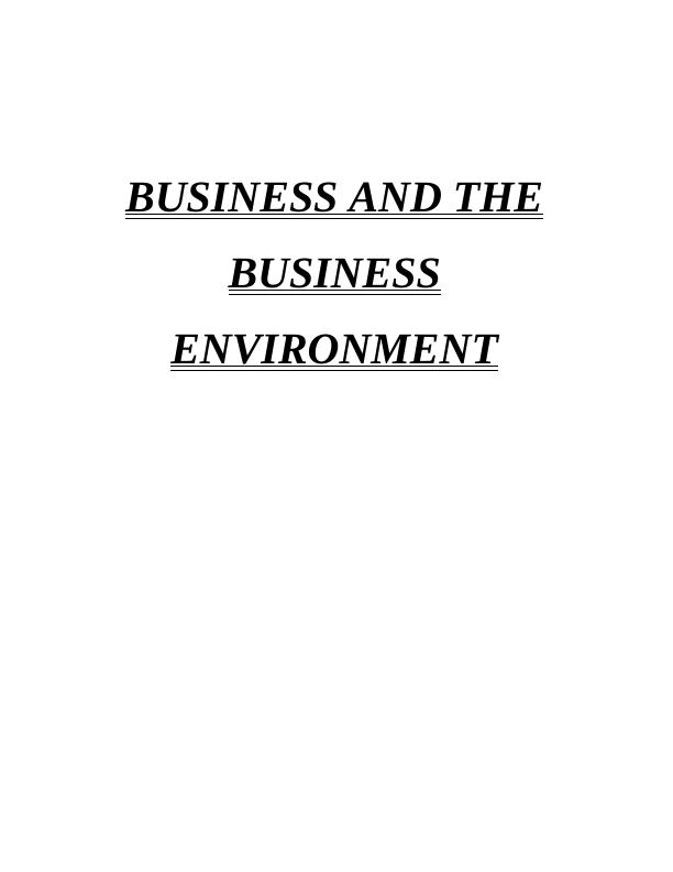 Business and the Business Environment of H&M_1