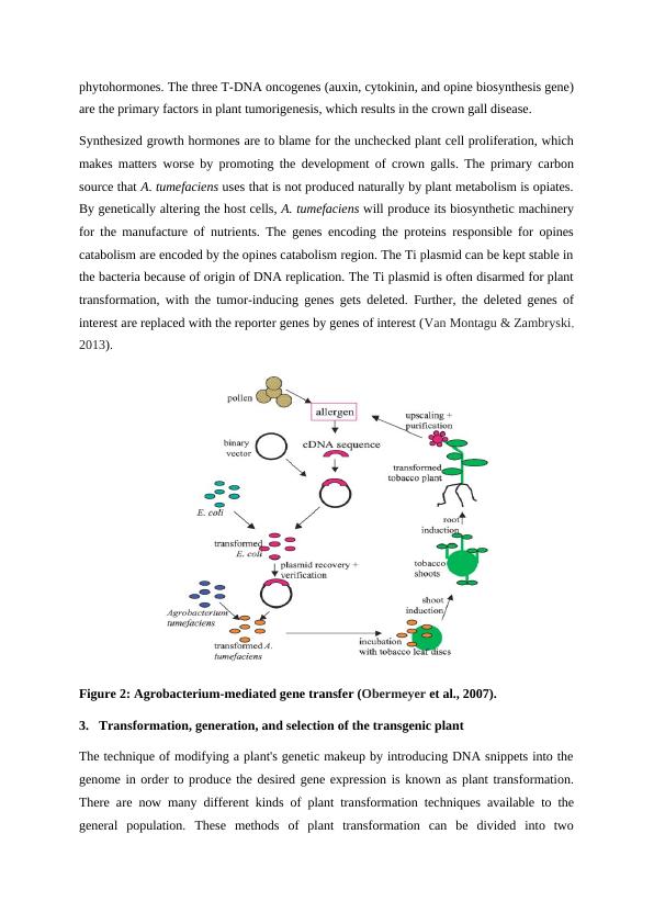 Genetic reprogramming of the production of the valuable chemical in plants_3