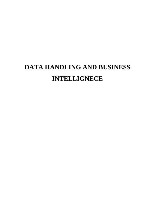 Data Handling and Business Intelligence of Audi : Report_1