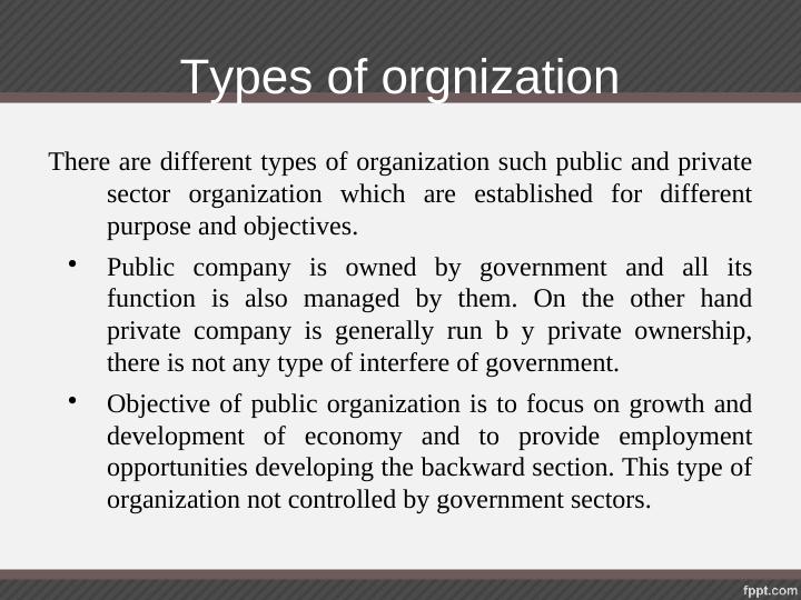 Types of Organization in Business Environment_2
