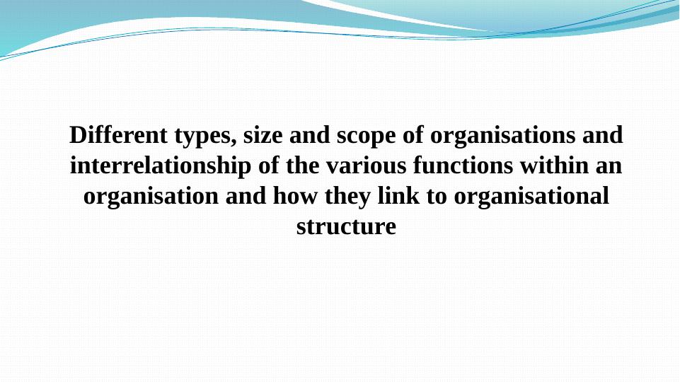 Types, Size, and Scope of Organisations and Interrelationship of Functions_1