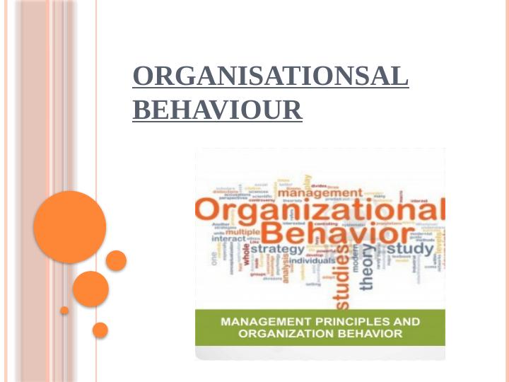 case study of organizational behavior