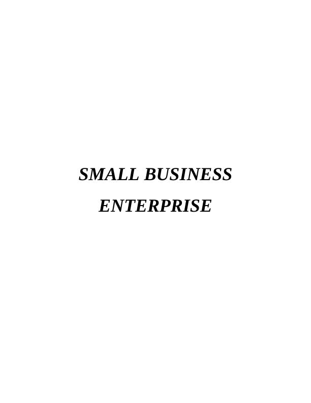 Report on Small Business Enterprise - Zizi limited_1