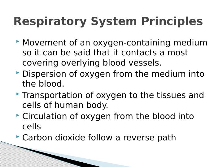Interactions between Respiratory, Digestive and Circulatory Systems_4
