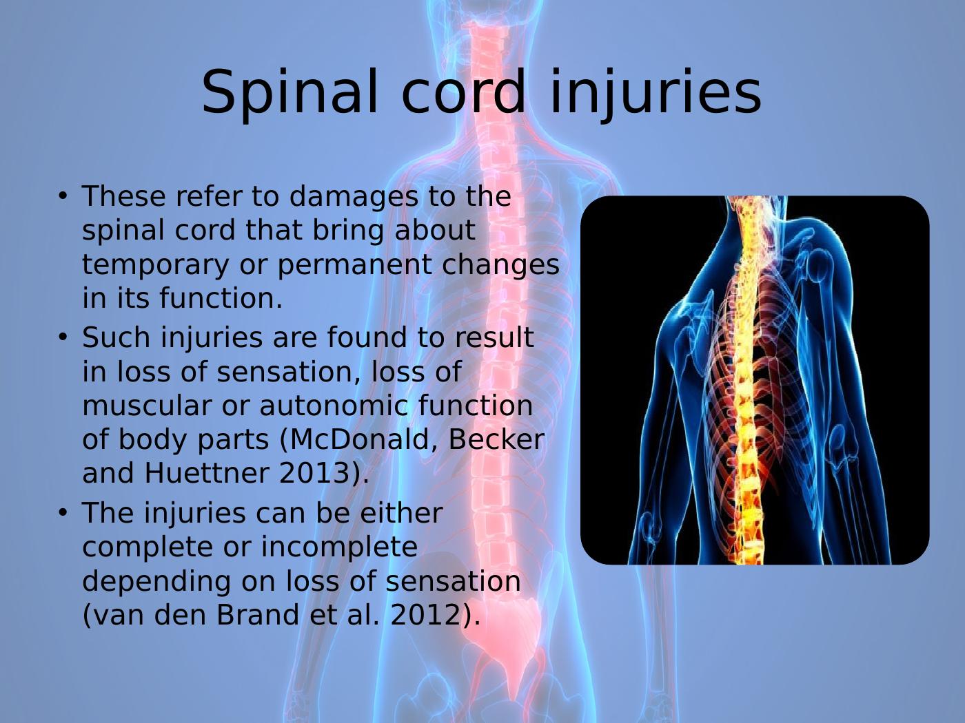 Sample Assignment On Spinal Cord Injuries