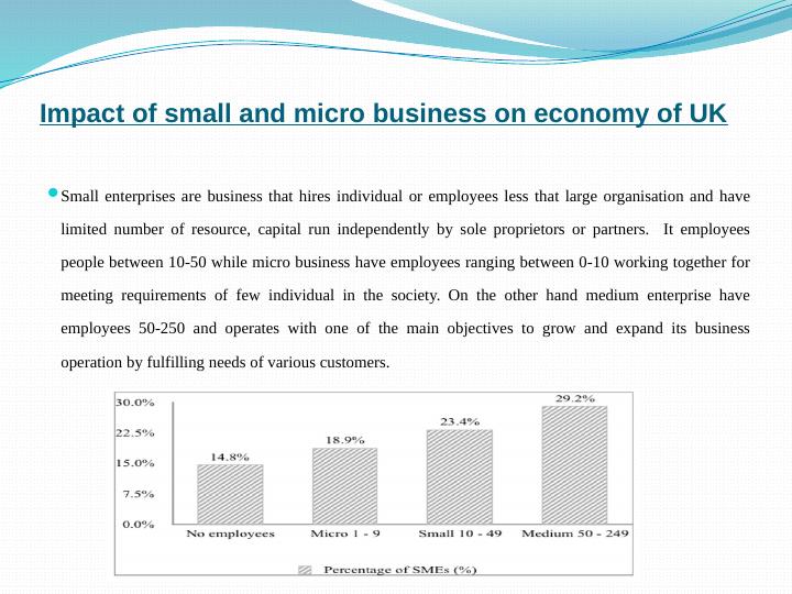 Impact of Small and Micro Business on the Economy of UK_4