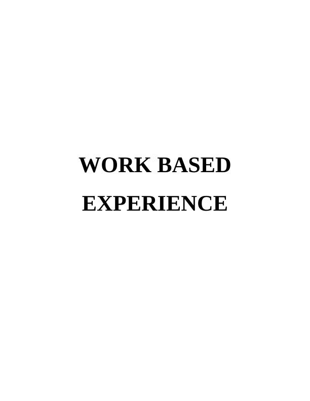 Work Based Experience Report_1