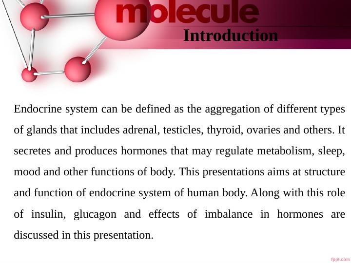 Structure and Function of the Endocrine System_3