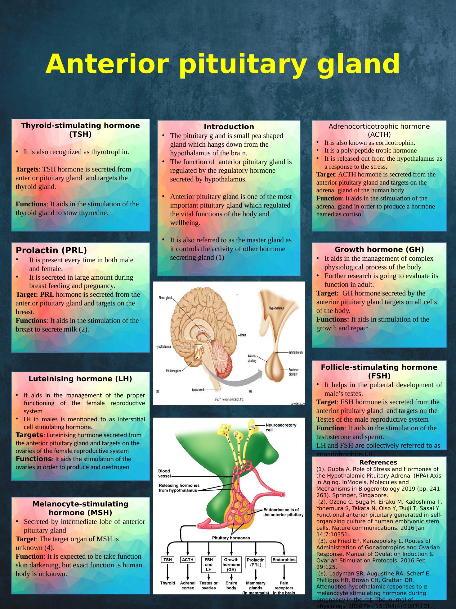 Anterior Pituitary Gland: Functions and Hormones_1