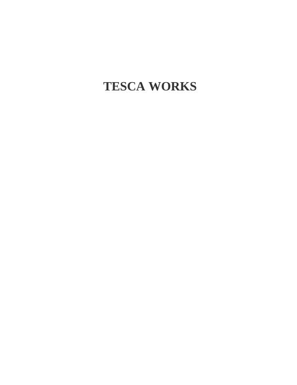 Report on Tesco Works (Doc)_1