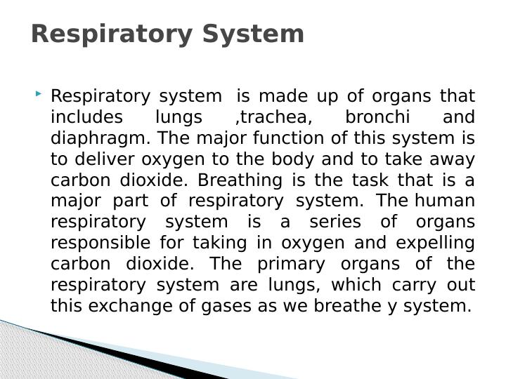 Interactions between Respiratory, Digestive and Circulatory Systems_3