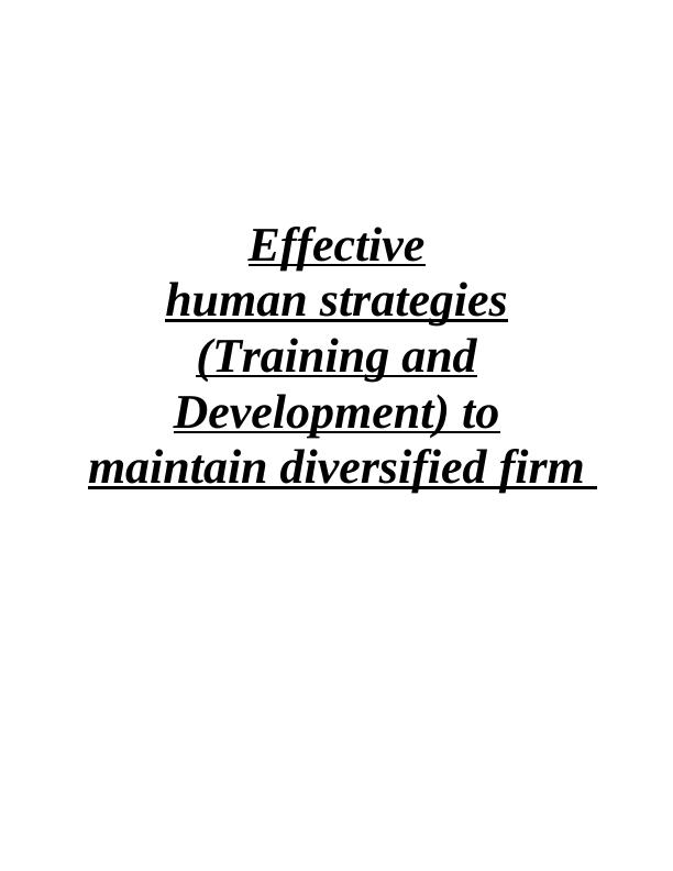 Effective Human Strategies for Maintaining a Diversified Firm_1