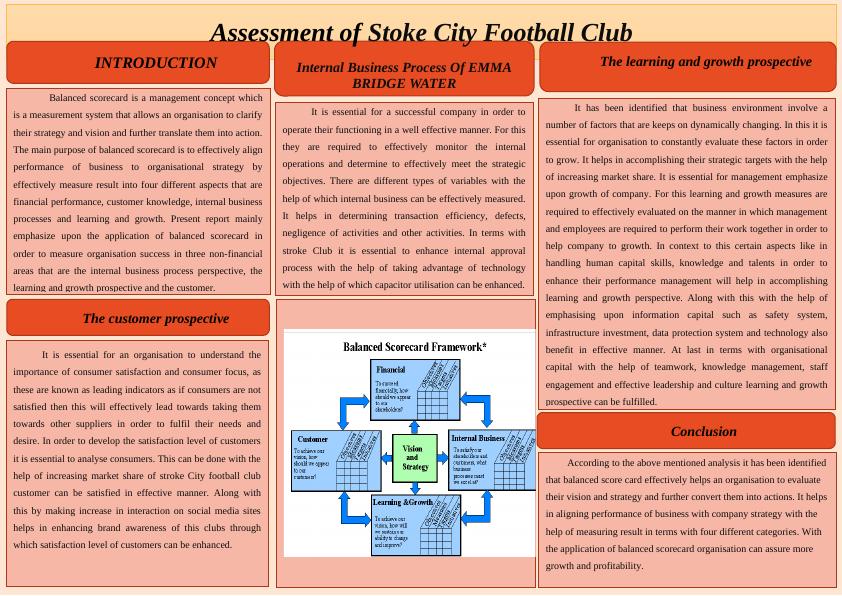 Assessment of Stoke City Football Club_1