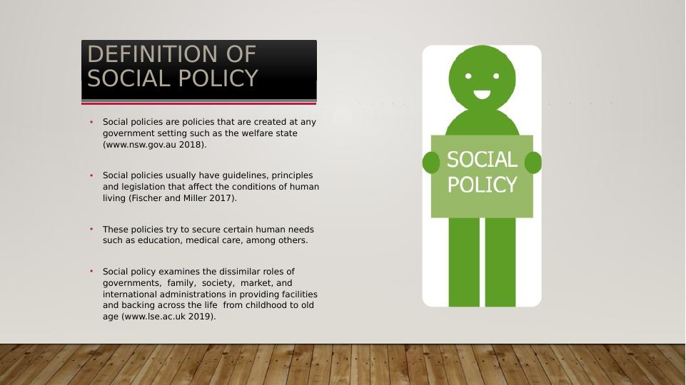 Social Policy and Its Implementation PowerPoint Presentation 2022_3