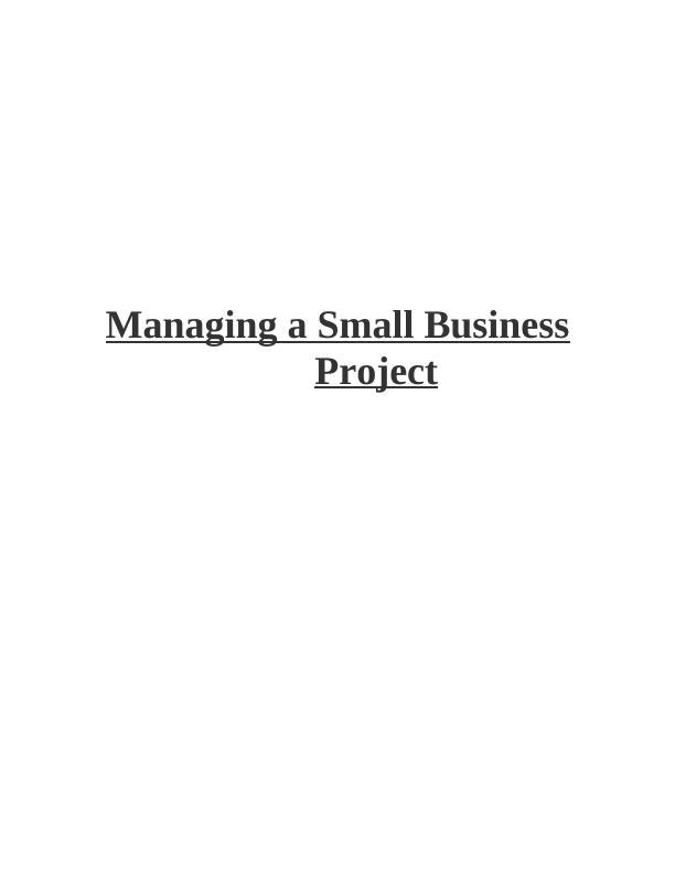 Managing a Small Business Project - Britannic Group_1