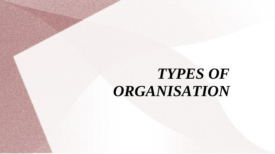 Types of Organisation_1