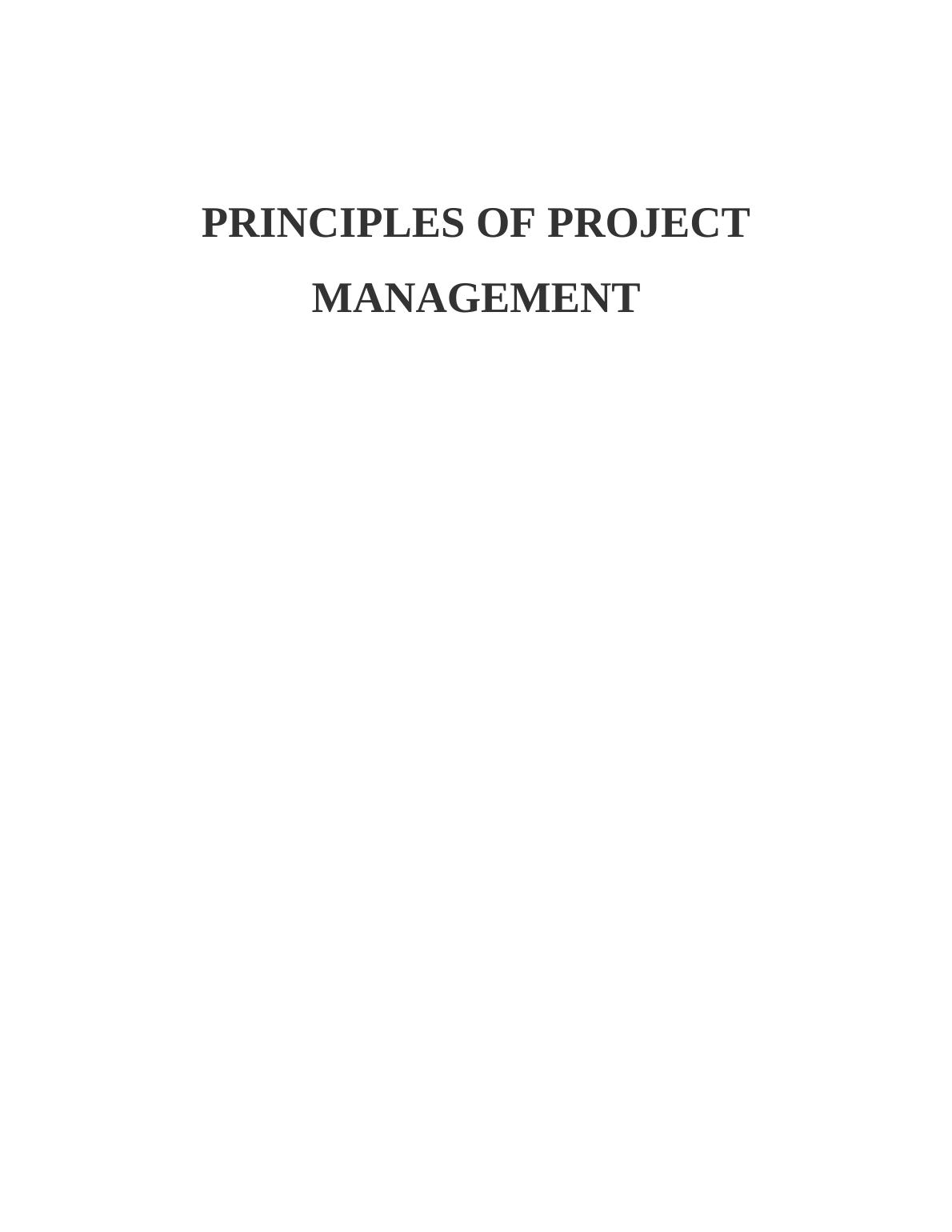 principles of project management assignment