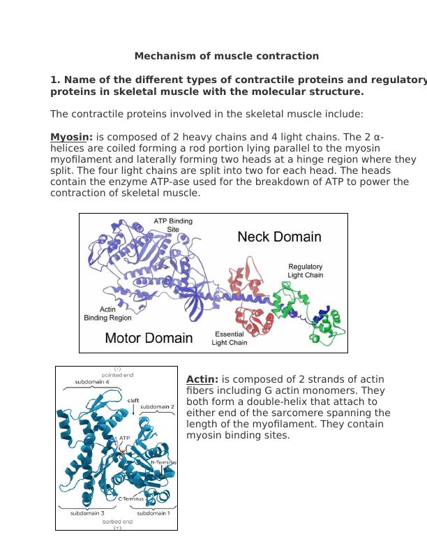 Contractile and Regulatory Proteins in Skeletal Muscle, Mechanism of Muscle Contraction, Sarcomere Structure, TRIAD Components, and Muscle Relaxation Mechanism_1